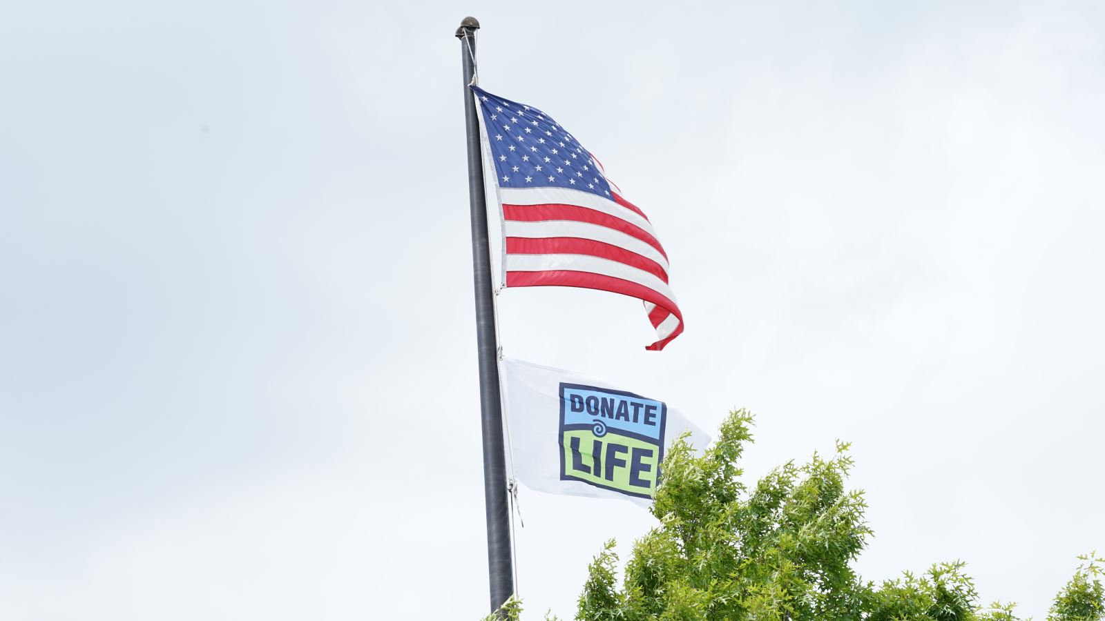 DonateLife Flag2024