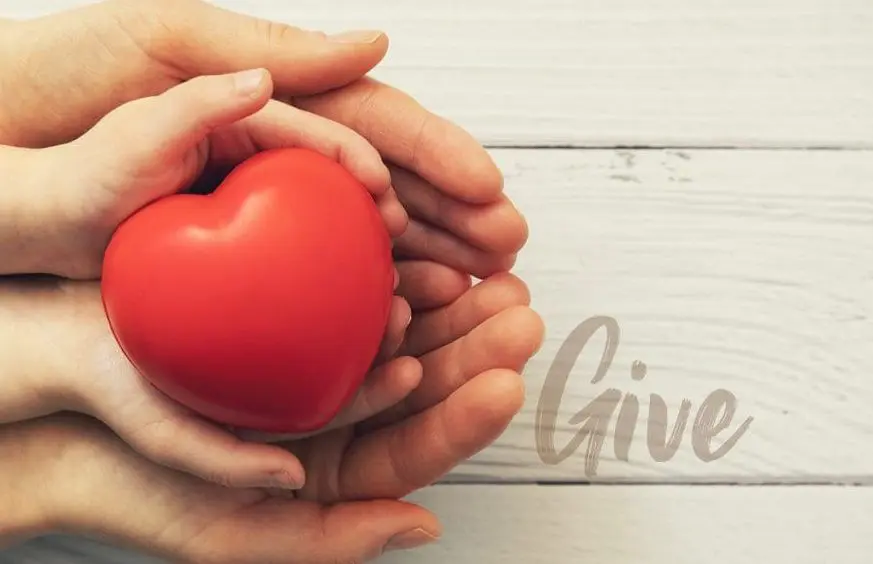 Phoebe Sumter Medical Center 3 sumterfoundation banner e1724946821845.jpg