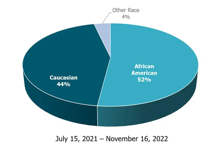 Phoebe COVID Ethnicity Pie Graph