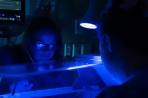 A healthcare provider from Phoebe examines an infant inside a medical incubator under blue light during nursing education.