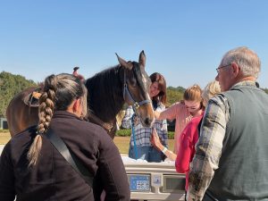 A group gathers around a hospice patient’s outdoor bed, smiling as a brown horse leans in toward the person on a sunny day.