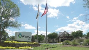 A hospital with a peaked roof, gardens, flags, and a "Phoebe Hospitals" sign is surrounded by trees and yellow flowers.