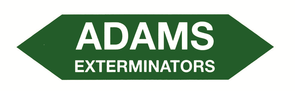 Green arrow sign featuring the words ADAMS EXTERMINATORS in bold white capital letters.