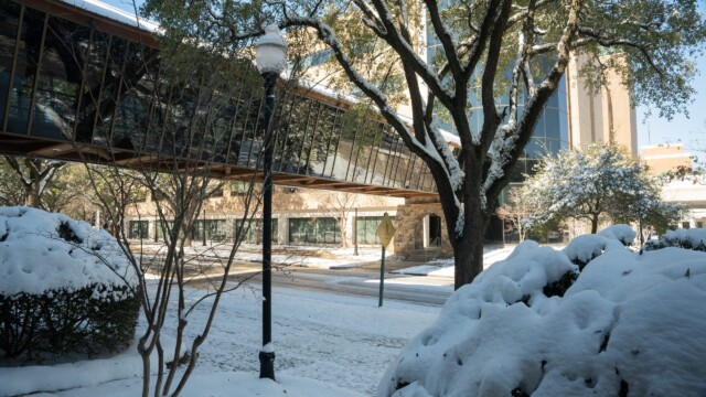 Snow-covered bushes and trees line a quiet street with a glass skywalk connecting two buildings above. After the recent winter storm, a lamppost stands in the foreground as shadows stretch across the snow under a clear blue sky.