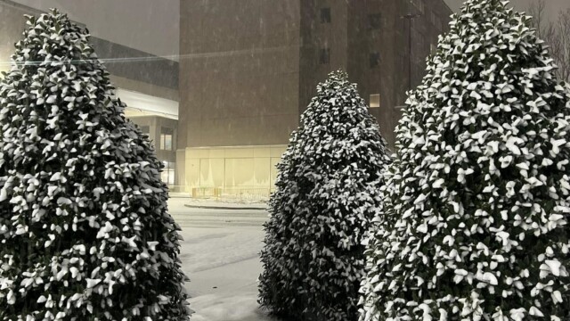 Snow-covered shrubs stand before a brick building with a lit Phoebe organization sign as snow falls during a winter night.