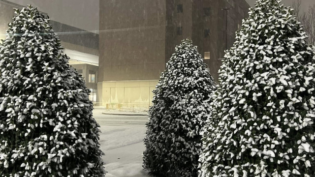 Phoebe Returning to Normal Operations after Historic Winter Storm 9